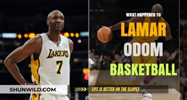 Lamar Odom: A Basketball Star's Rise and Fall