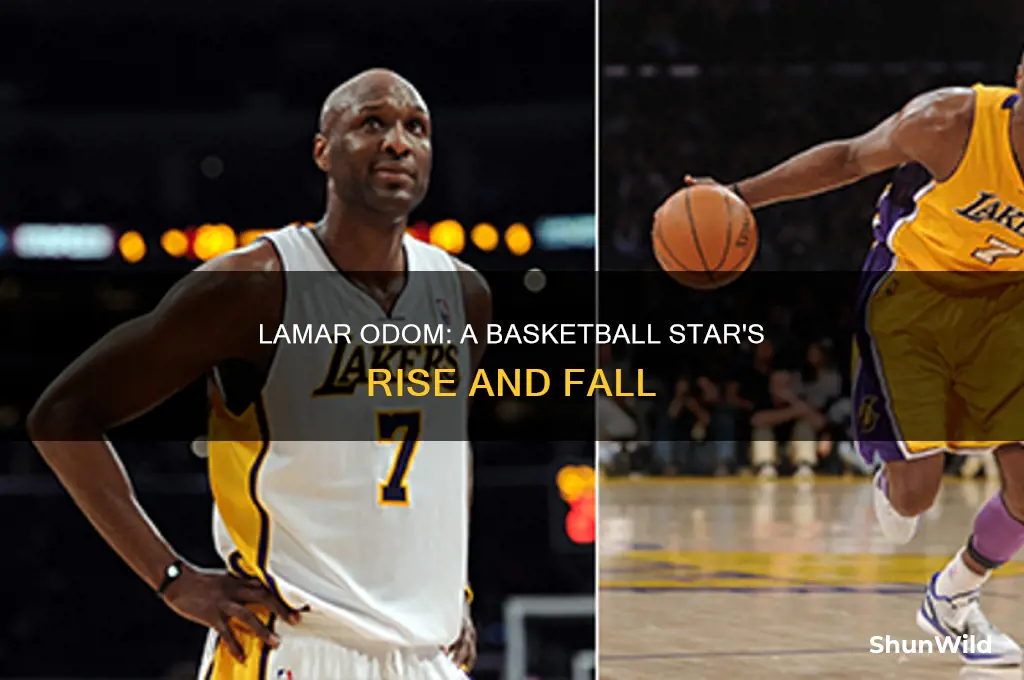 what happened to lamar odom basketball