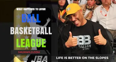 The Rise and Fall of Lavar Ball's Basketball League