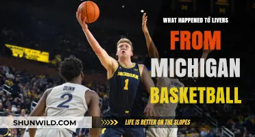 Where Are They Now? Michigan's Lost Basketball Star