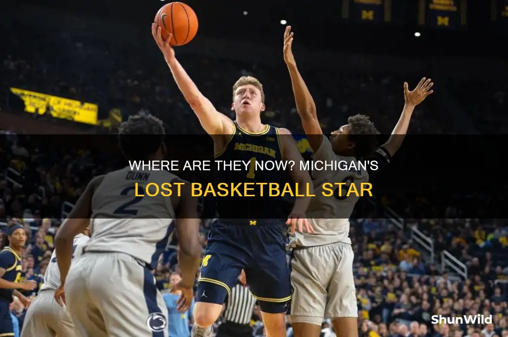 what happened to livers from michigan basketball