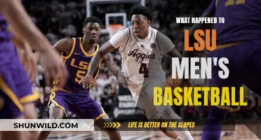 LSU Men's Basketball: What Went Wrong?