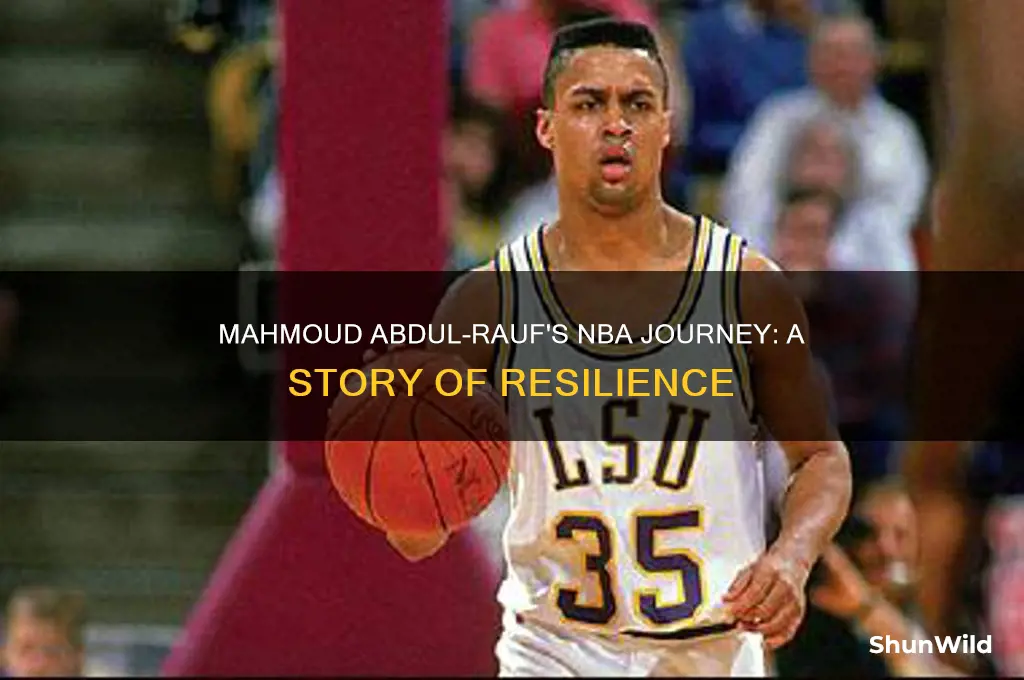 what happened to mahmoud abdul-rauf basketball