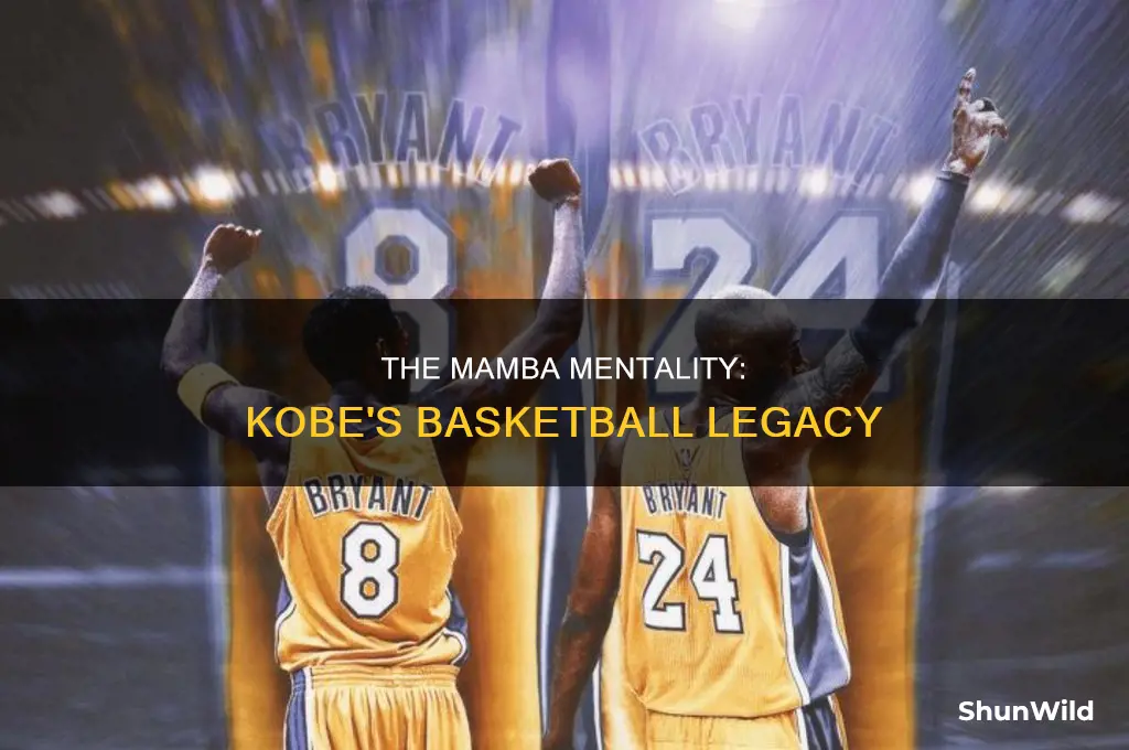 what happened to mamba basketball