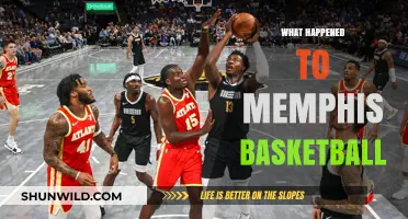 Memphis Basketball: What Went Wrong?