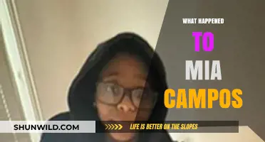 Mia Campos' Disappearance: Unraveling the Mystery and Seeking Answers