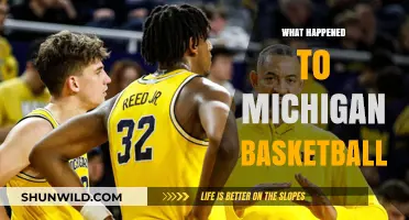 Michigan Basketball: What Went Wrong?