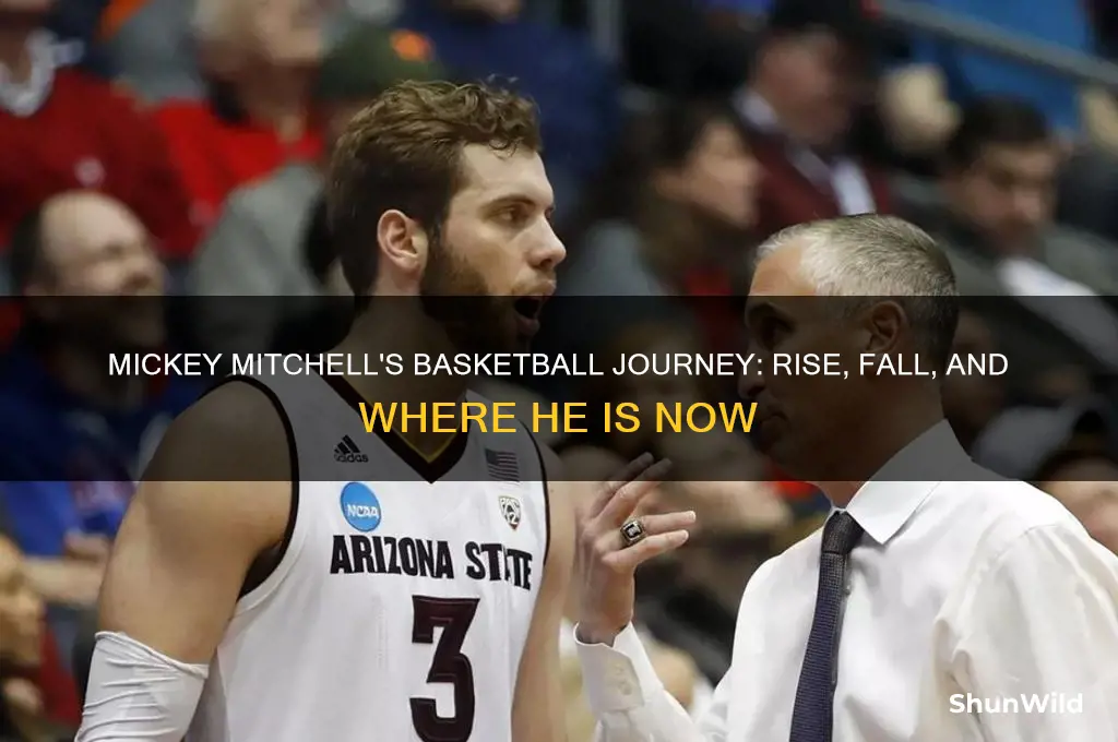 what happened to mickey mitchell basketball