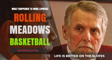 Mike Lipniski's Disappearance: The Rolling Meadows Basketball Mystery Unveiled