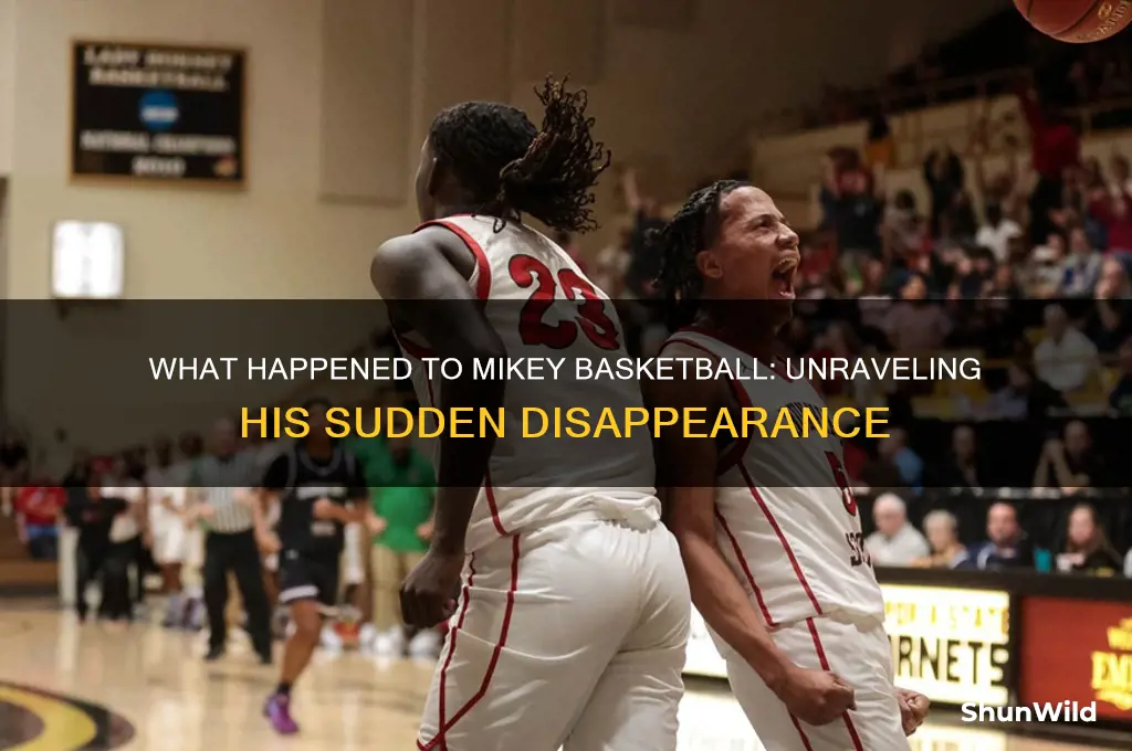 what happened to mikey basketball