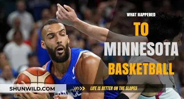 Minnesota Basketball's Decline: Unraveling the Timberwolves' Struggles and Future