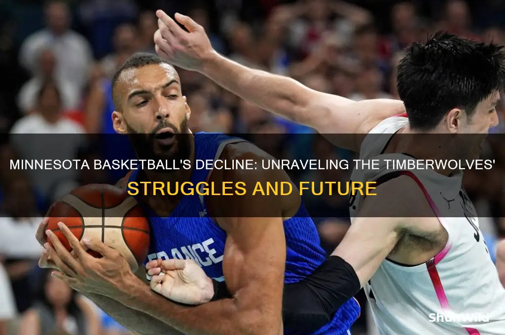 what happened to minnesota basketball