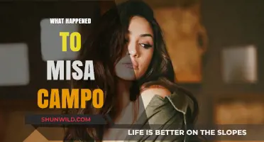 Misa Campo's Disappearance: Unraveling the Mystery of Her Sudden Exit