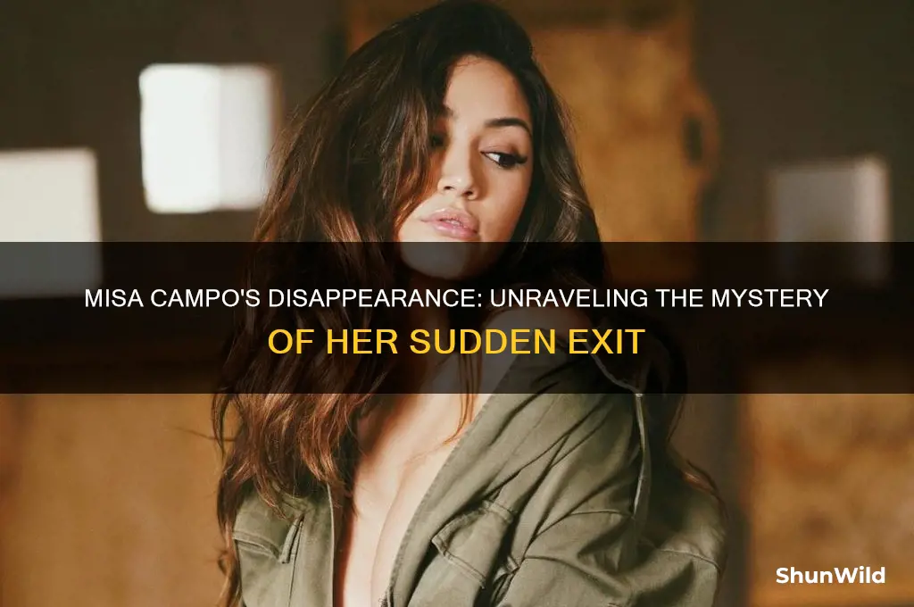 what happened to misa campo