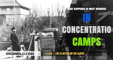 The Fate of Workers in Concentration Camps: A Grim Reality