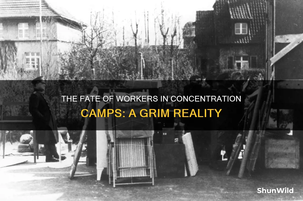 what happened to most workers in concentration camps