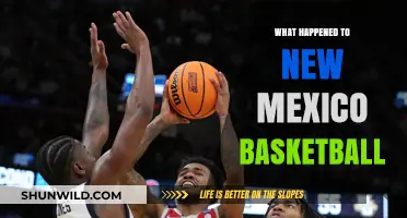 What Happened to New Mexico Basketball: A Sudden Decline Explored