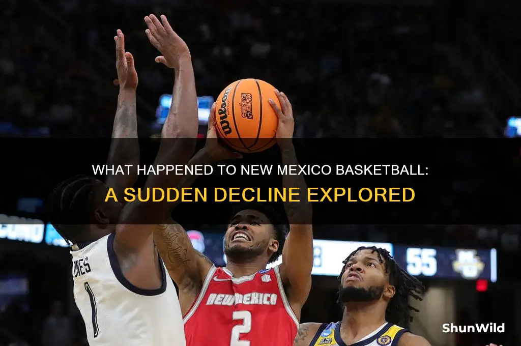 what happened to new mexico basketball