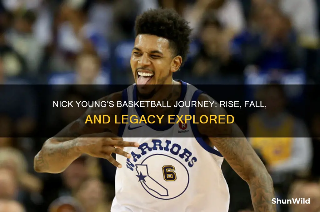 what happened to nick young basketball career
