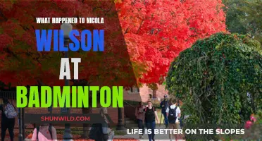 Badminton's Nicola Wilson: What Happened?