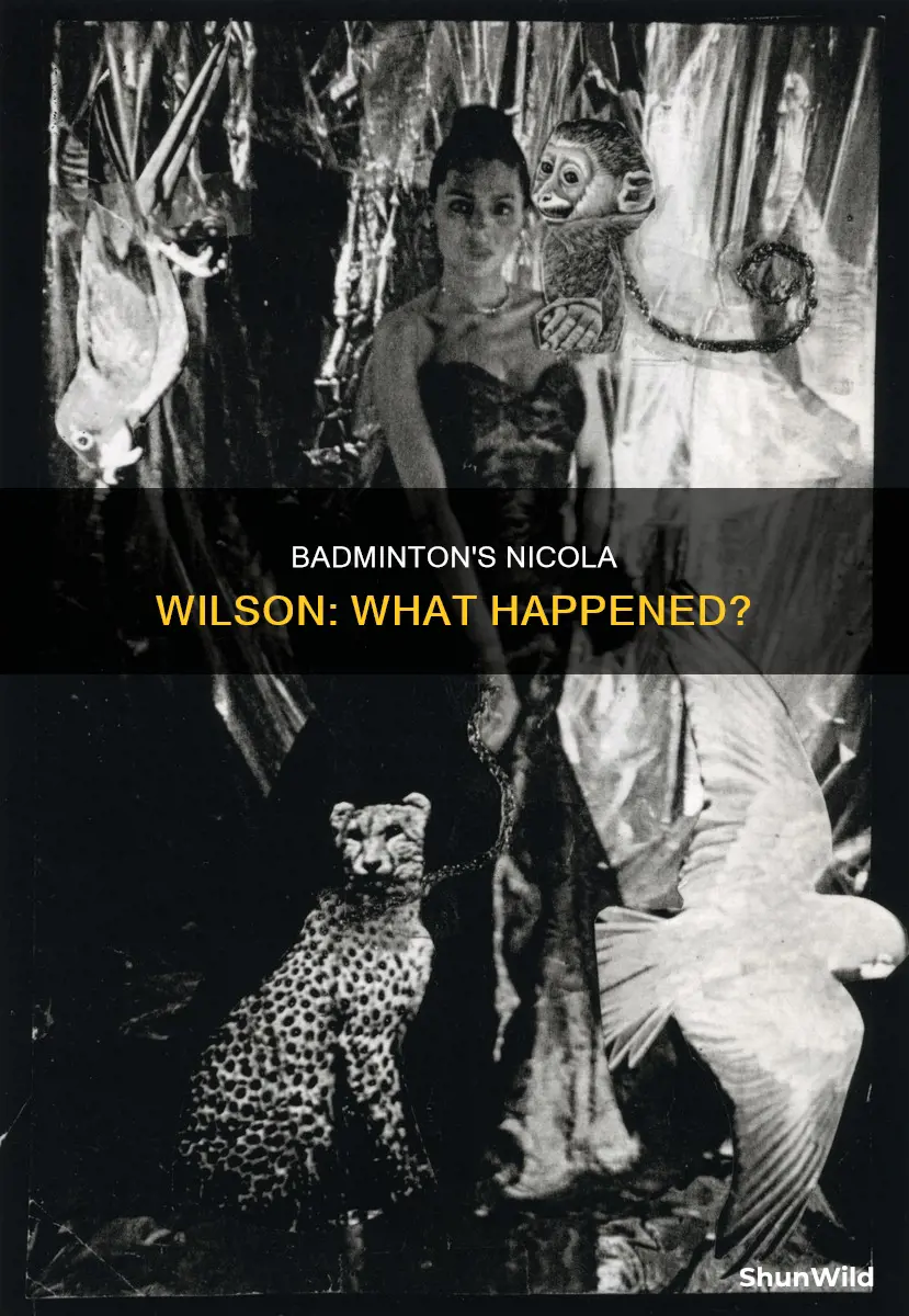 what happened to nicola wilson at badminton