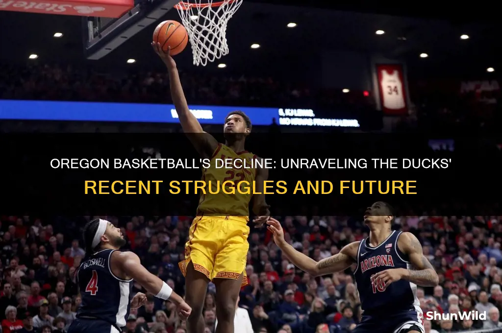 what happened to oregon basketball