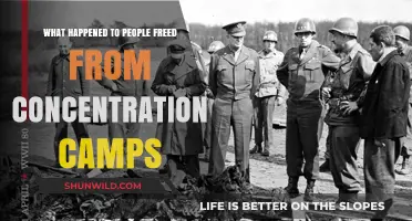 Liberation's Aftermath: Survivors' Struggles Post-Concentration Camps