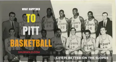 Pitt Basketball's Decline: Unraveling the Panthers' Struggles and Future