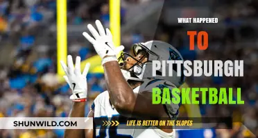 Pittsburgh Basketball's Decline: Unraveling the Panthers' Struggles and Future