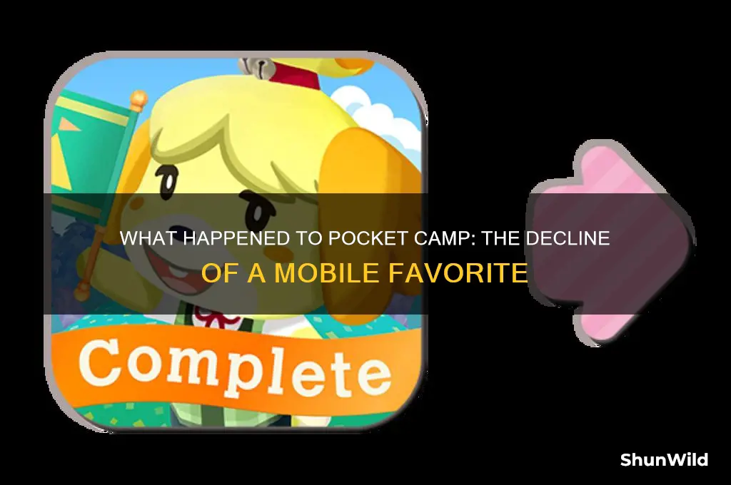 what happened to pocket camp