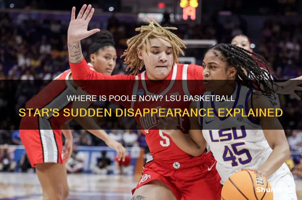 what happened to poole from lsu basketball