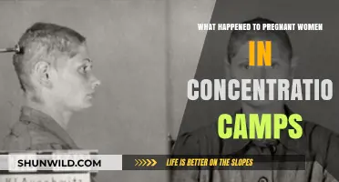 Pregnant in Hell: The Untold Stories of Concentration Camp Mothers