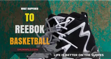 Reebok Basketball's Decline: From Dominance to Disappearance Explained
