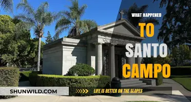 Santo Campo's Disappearance: Unraveling the Mystery and Theories Behind It