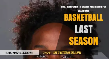 Shaina Pellington's Impact: Oklahoma Basketball's 2022-23 Season Recap