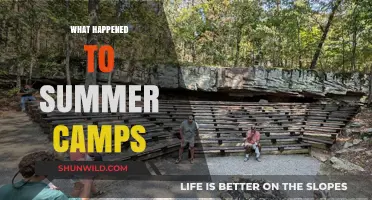 Where Did Summer Camps Go? Exploring the Decline of a Childhood Tradition