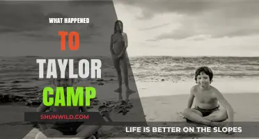 Taylor Camp's Rise, Fall, and Legacy: A Hippie Haven's Story