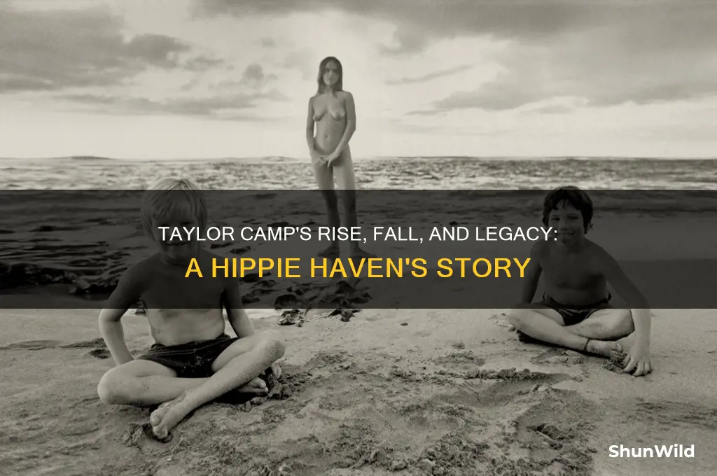 what happened to taylor camp
