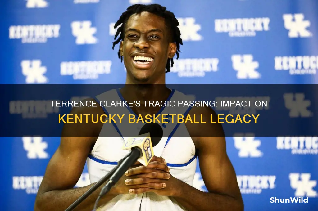 what happened to terrence clarke kentucky basketball