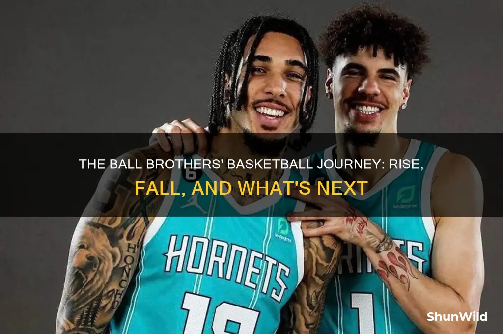 what happened to the ball brothers basketball