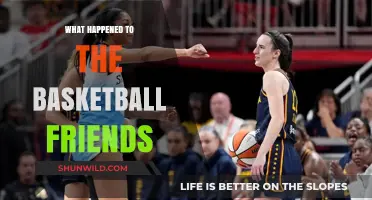 Where Are They Now? The Fate of Basketball Friends
