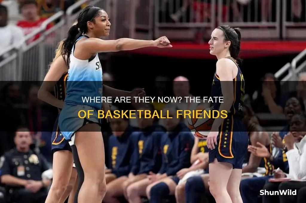 what happened to the basketball friends