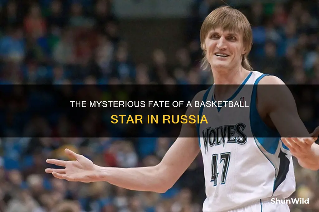 what happened to the basketball star in russia