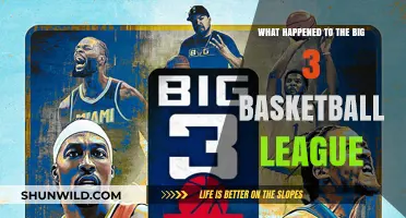 The Rise and Fall of the Big 3 Basketball League