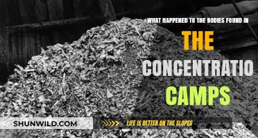 Unveiling the Fate of Concentration Camp Victims' Remains