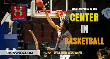The Vanishing Center: Evolution of Basketball's Traditional Big Man Role