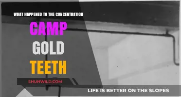 The Fate of Gold Teeth from Nazi Concentration Camps