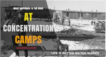 Dogs in Concentration Camps: Their Forgotten Fate and Stories