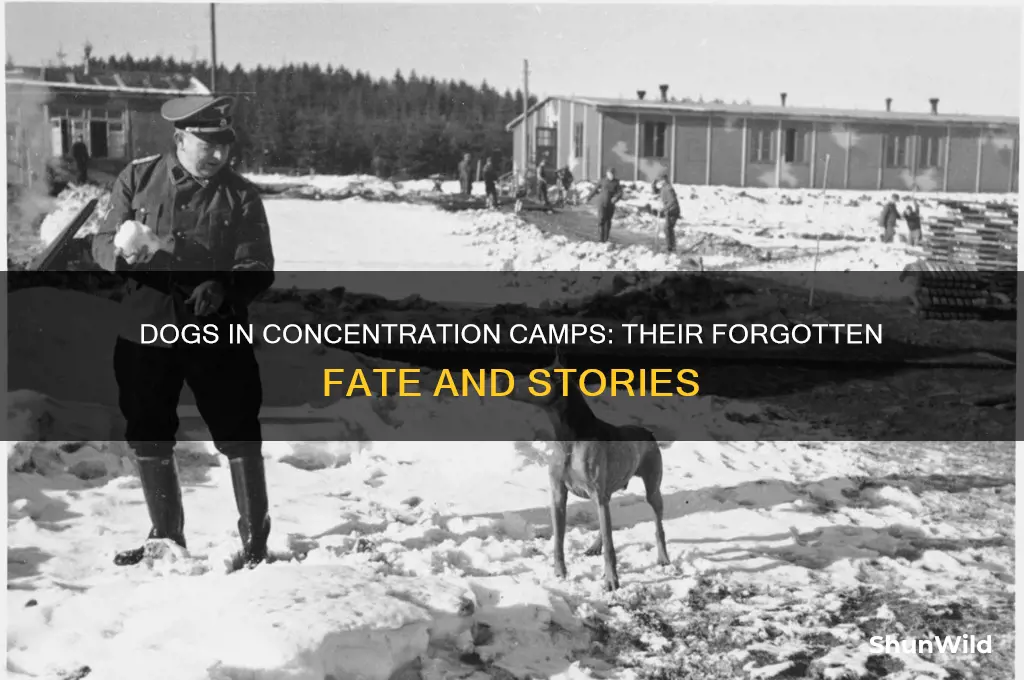 what happened to the dogs at concentration camps