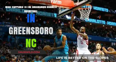 The Greensboro Hornets' Disappearance: Unraveling the Basketball Team's Fate